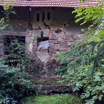 Homestead with a pond