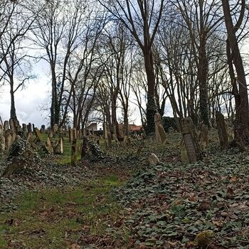 Jüdischer Friedhof 2024