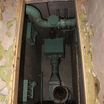 Maple 52 with swimming pool