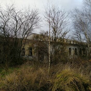stodola strom krajina struktura zemědělské budovy Les stodola strom krajina struktura zemědělské budovy Les