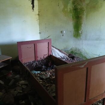 The house by the old vermin factory