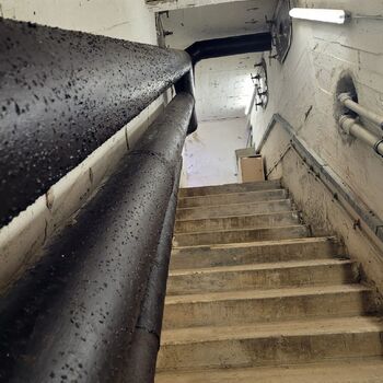 Štolák u velkého dubu.