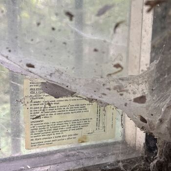 Die Sonne lázně☀️