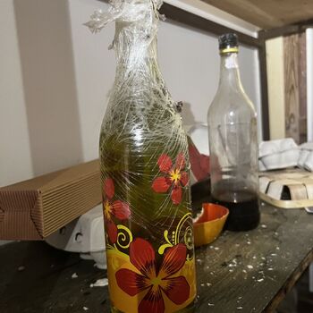 Former camp Corsica 2023