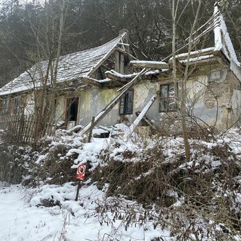 sníh zima studené počasí Les krajina strom sezona stromy mráz