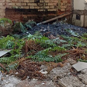 Lung Sanatorium 2024