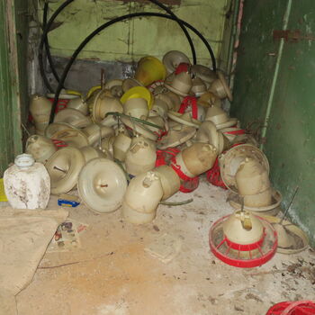 Barevná Drůbežárna