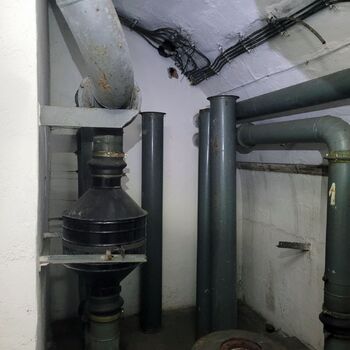 Ein Welpe mit Rüssel