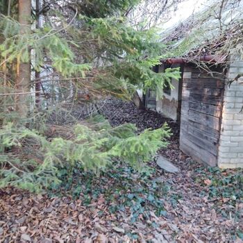 Urbex - Krysi-Schloss 2024