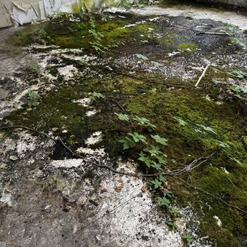 Průmyslový kolos v rozkladu