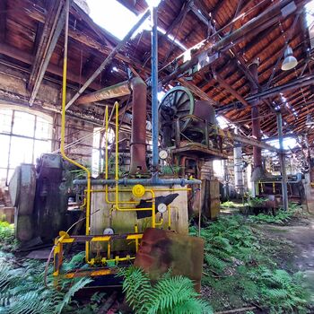 Mechová kovárna Mechová kovárna