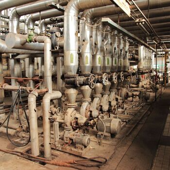 Heizungsanlage für unkonventionelle Brennstoffe