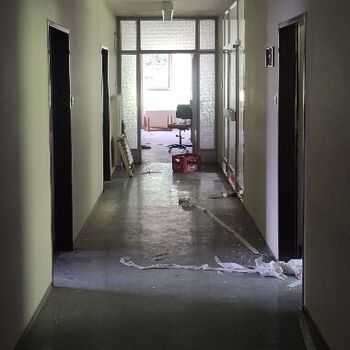 Die Schönheit der österreichischen hor🇦🇹🏔️❤️ Die Schönheit der österreichischen hor🇦🇹🏔️❤️