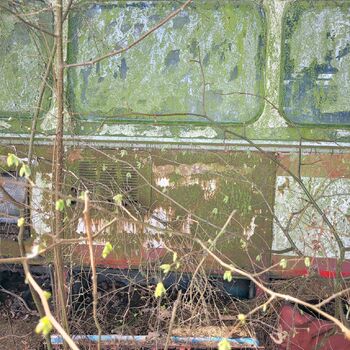 So sieht es also aus, wenn man an der letzten Haltestelle ankommt.