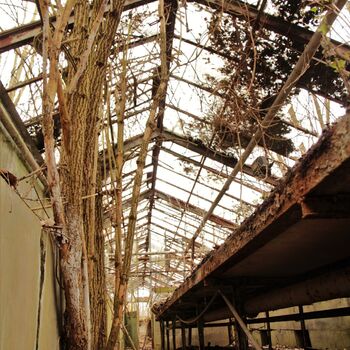 Gartenarbeit ab 1940