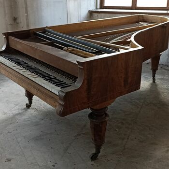 grand piano piano keyboard instrument stringed instrument percussion instrument musical instrument harpsichord grand piano piano keyboard instrument stringed instrument percussion instrument musical instrument harpsichord