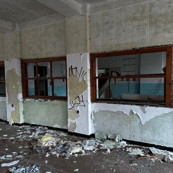 The abandoned sawmill