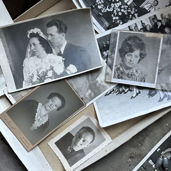 ᴅᴏᴍᴇᴋ ꜱ 🗡️