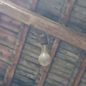 Homestead with a pond