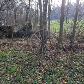 Urbex - Mühle bei V.......🐺🐺🐺🐺🐺🐺 Urbex - Mühle bei V.......🐺🐺🐺🐺🐺🐺