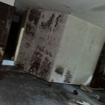 Abandoned school in Nature