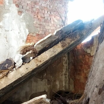 Abandoned cowshed and small abandoned plot 2021