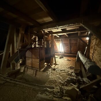 DDT, or the crocodile wasn't home