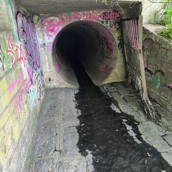 Untersuchung der Kanalisation in Prag | 2024 Untersuchung der Kanalisation in Prag | 2024