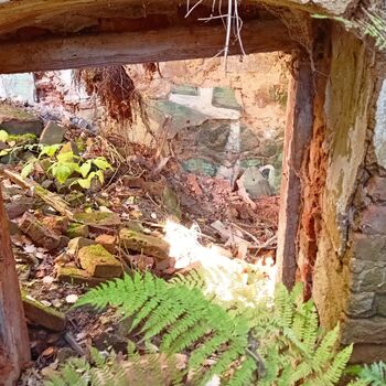 TOTÁLKA - GASTHAUS ZU DEN HASEN