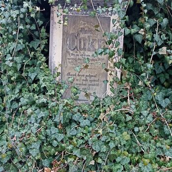 Friedhof 2022 Friedhof 2022