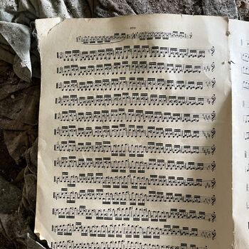 Abandoned Farmer's house