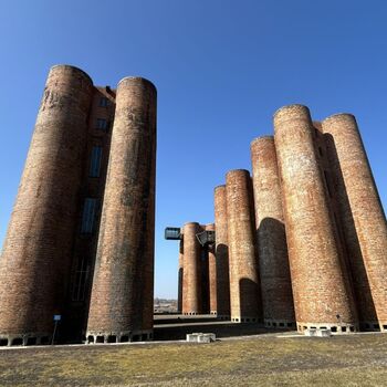 Lauchhammer biowheat - An unexpected ecological experiment 🌱🏭 Lauchhammer biowheat - An unexpected ecological experiment 🌱🏭