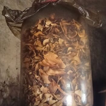 Spitzenschiff 9z10ti...