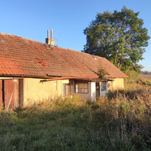 Abandoned house in the Highlands_2024