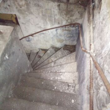 Railway depot in the middle of the "forest" 2024