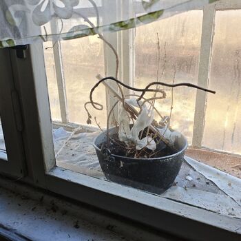 Co zavřelo tento penzion? Opuštěný zachovalý penzion