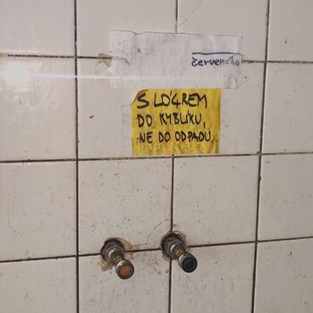 Schule in der Natur_2025