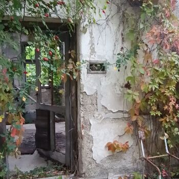 Olomouc - Opuštěný areál (můj 2. urbex) Olomouc - Opuštěný areál (můj 2. urbex)