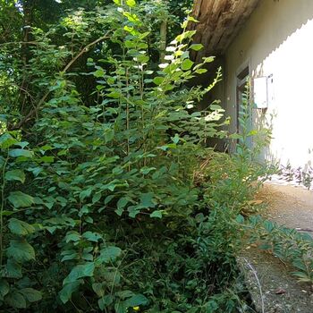 Urbex - Opuštěné vesnické staveni