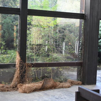 Opuštěná obřadní síň Opuštěná obřadní síň