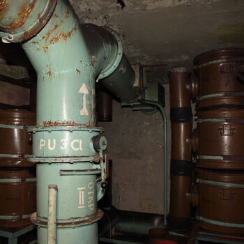 Maple 52 with swimming pool