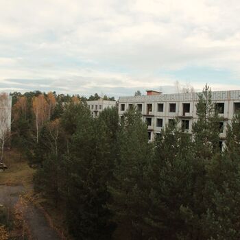 Kyjeváky in der Siedlung Ploužnice 2023