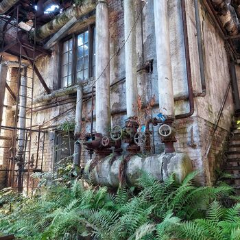 Mechová kovárna Mechová kovárna