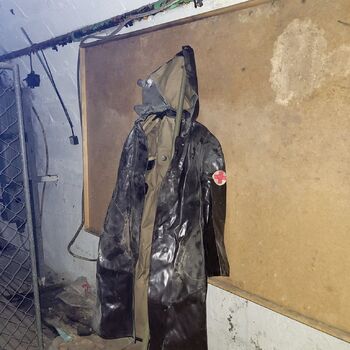 Ein Welpe mit Rüssel