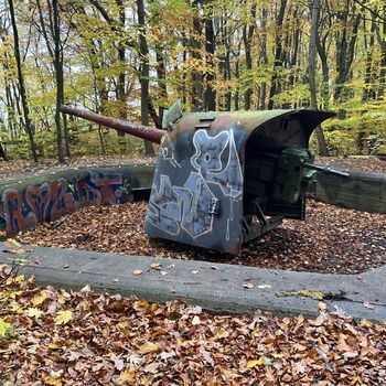 Cannons and bunkers Poland 2025