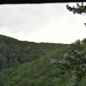 strom Hora woody plant krajina Les