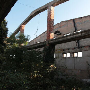 Landwirtschaftliche Fläche mit Hopfentrocknungsanlage 2023