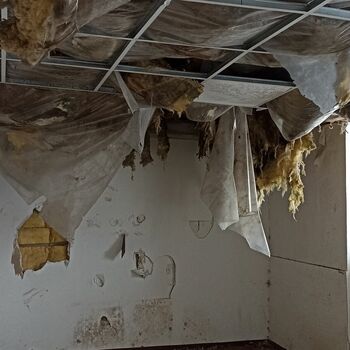 Spinnerei 2023 Spinnerei 2023