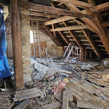 Das Haus beim Plüschtier.