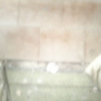 Hotel na Brněnské přehradě